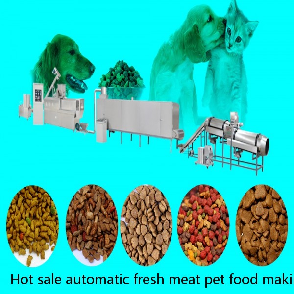 Hot sale automatic fresh meat pet food making machine